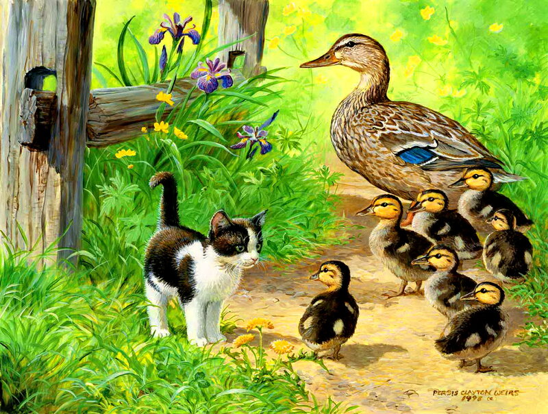 Duck Family with Kitten