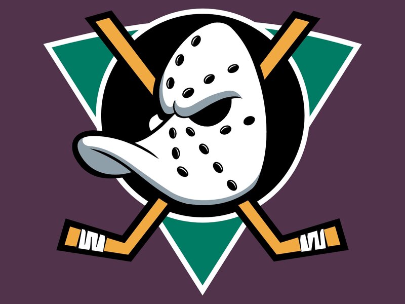Duck Hockey Goalie