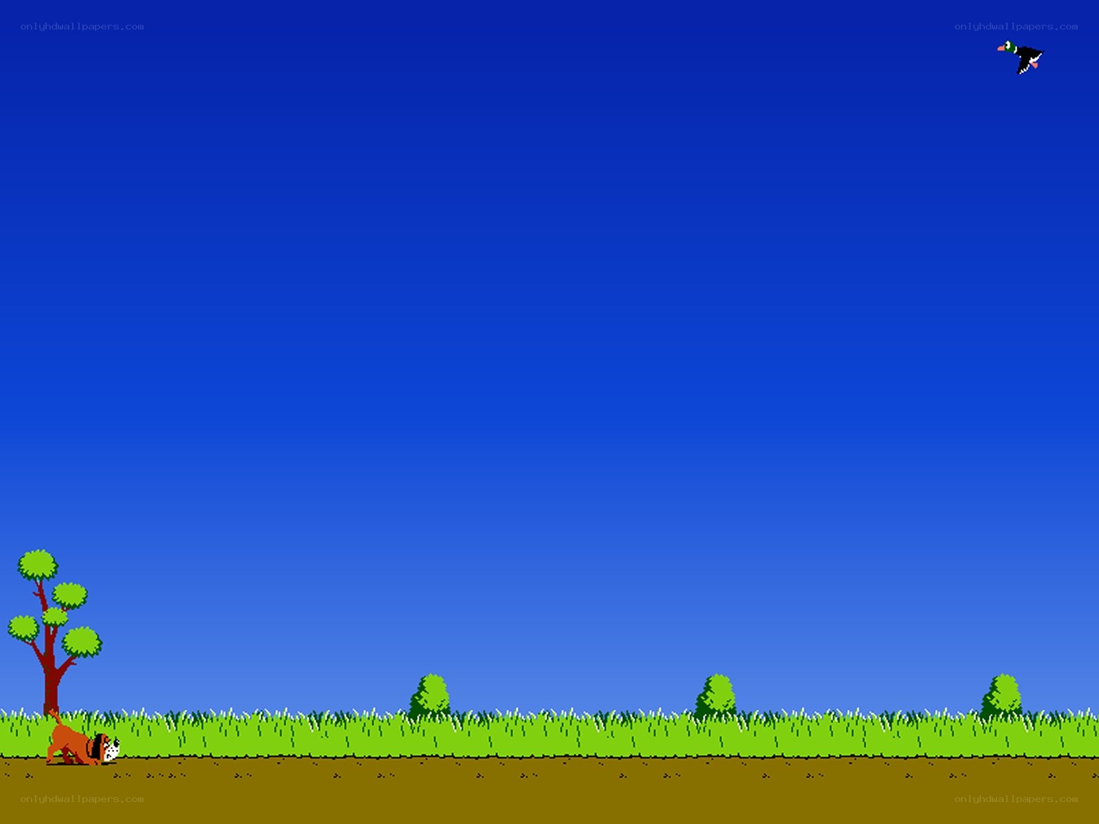 Duck Hunt game scene