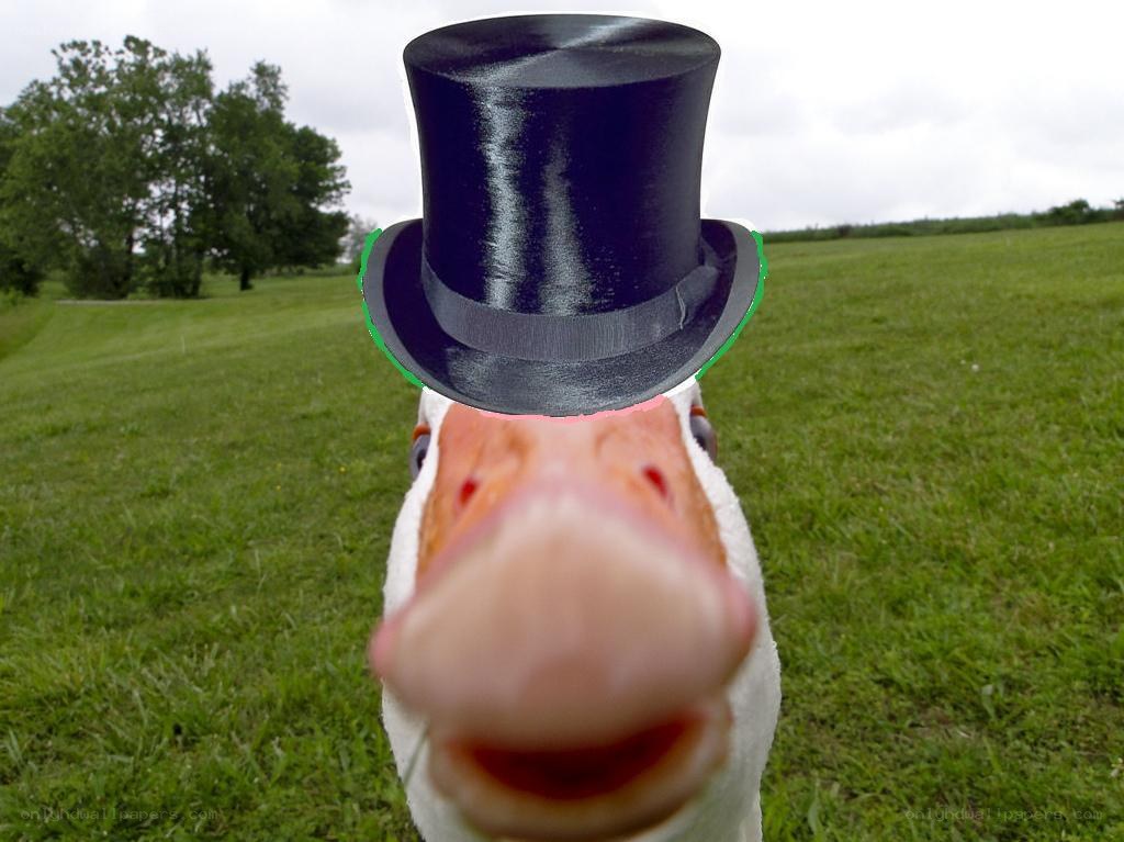 duck in a top hat