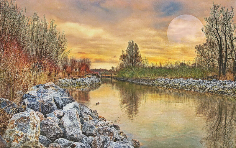 Duck in Canal at Sunset