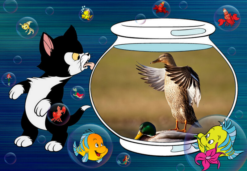 Duck in Fishbowl