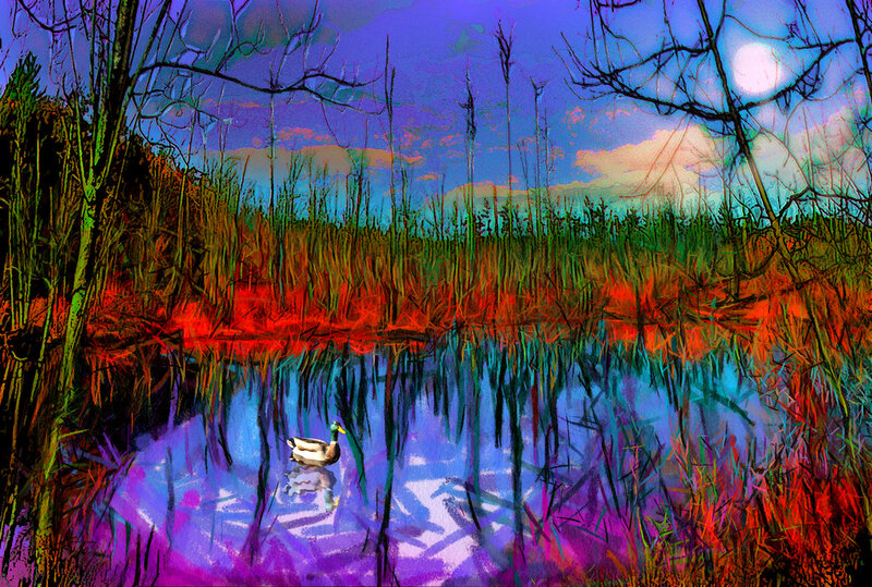 Duck in Pond — Purple