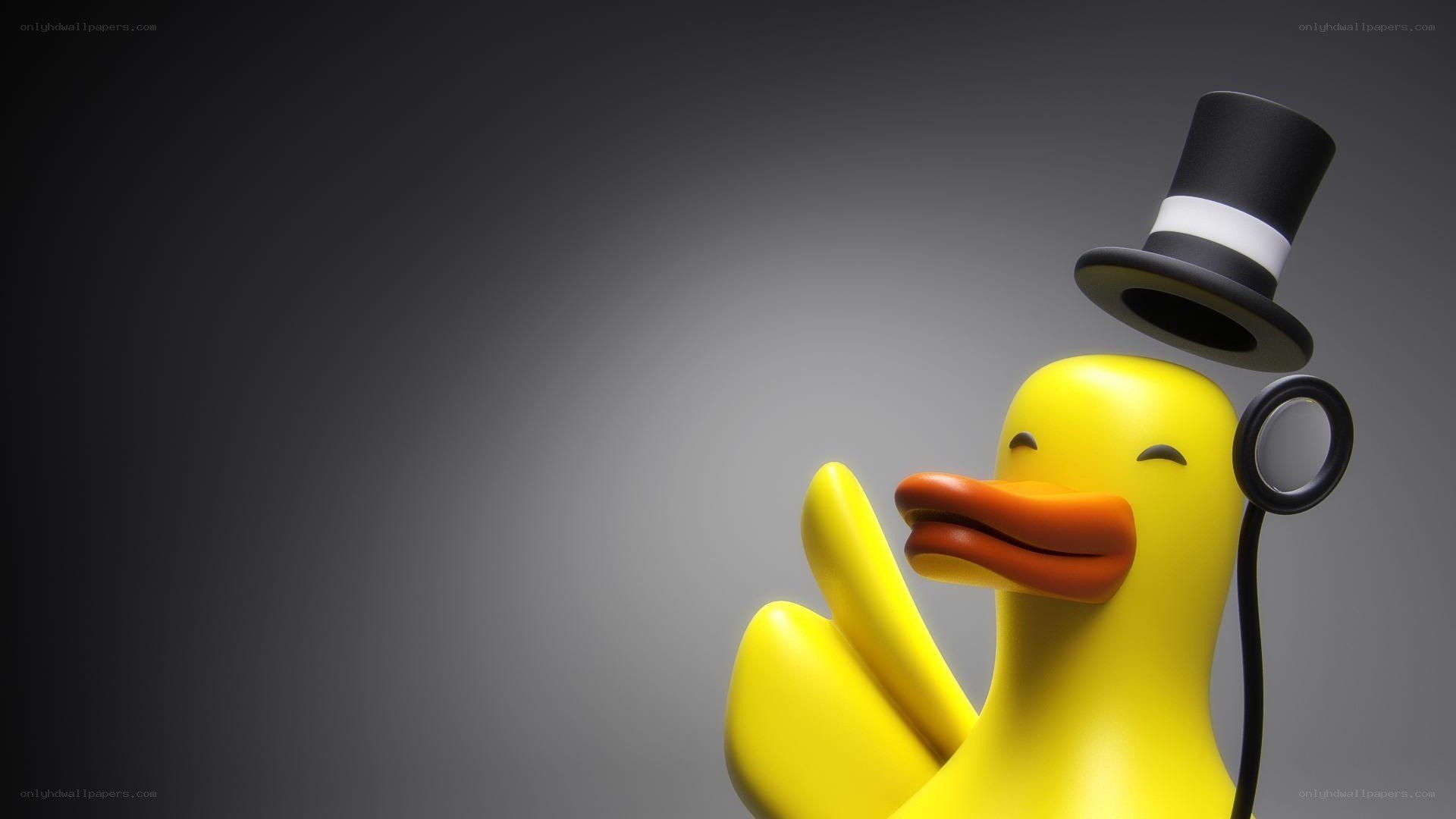 duck in top hat