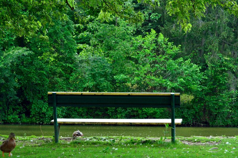 Duck Near Bench — Green