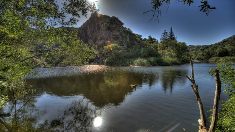 Duck on a Lake — Green