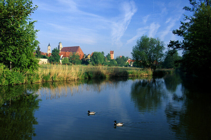 Duck on a river in Bavaria