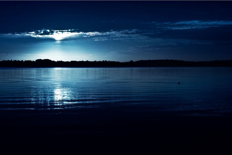 Duck on Lake at Night