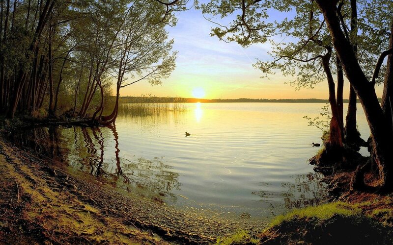 Duck on Lake at Sunset