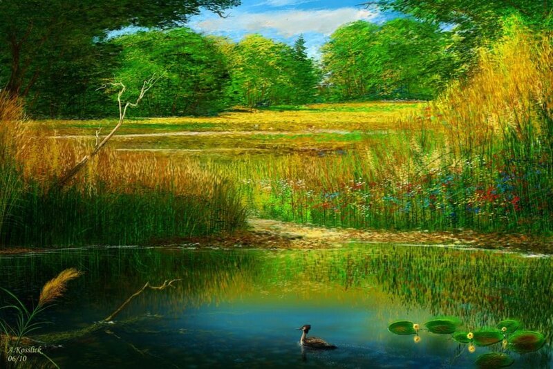 Duck on Pond — Green