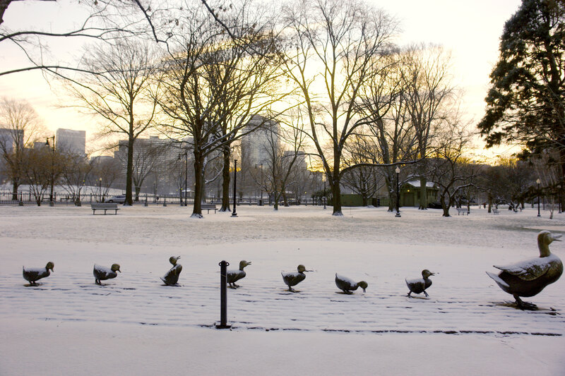 Duck Sculptures in Snow