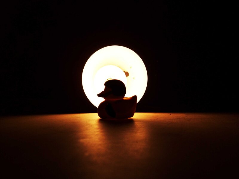 duck silhouette with light