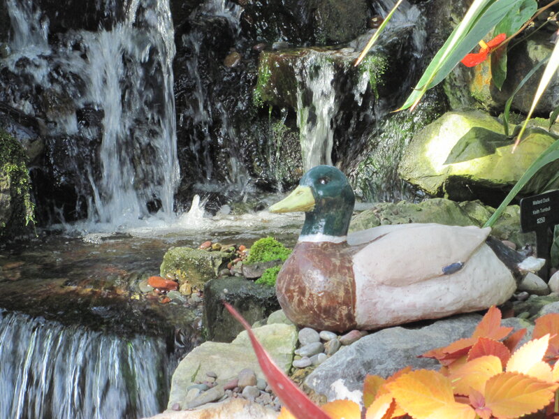 Duck Statue Near Waterfall