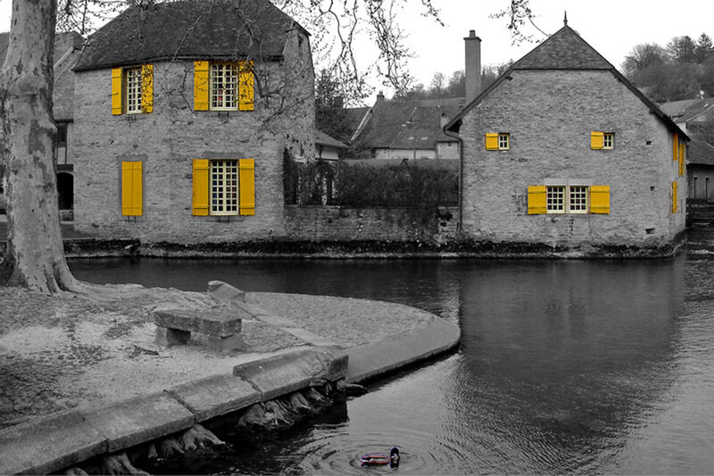 Duck Swimming in Canal