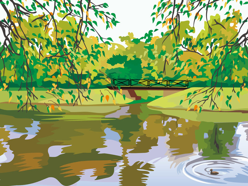 Duck Swimming in Pond — Green
