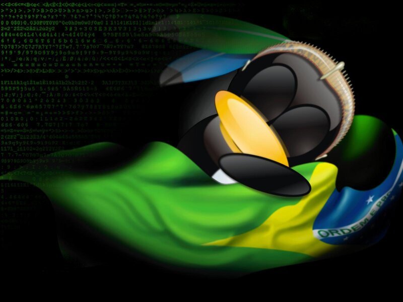 Duck with Brazilian flag