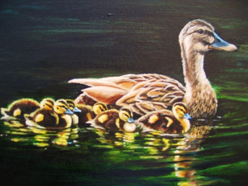 Duck with ducklings swimming