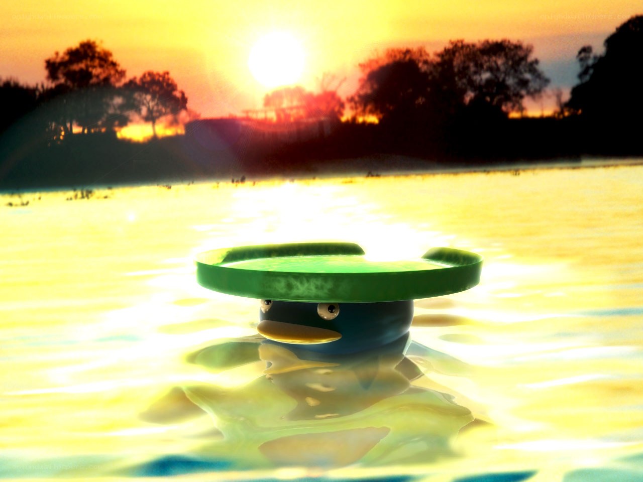 duck with lily pad hat at sunset
