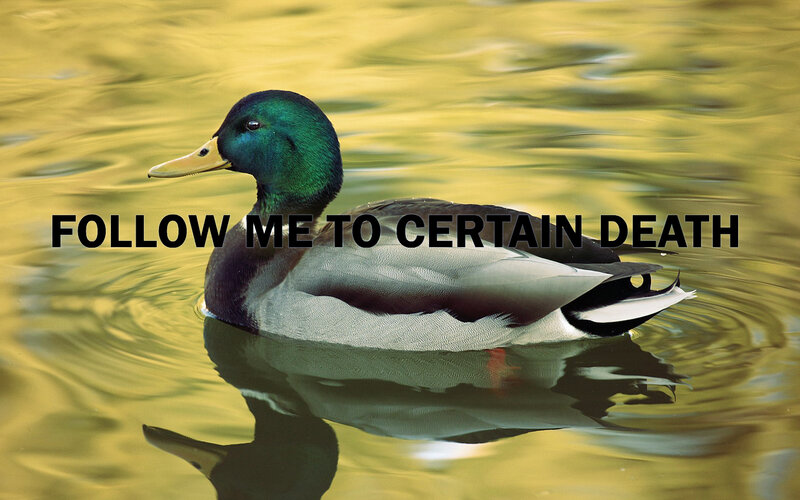 duck with ominous text