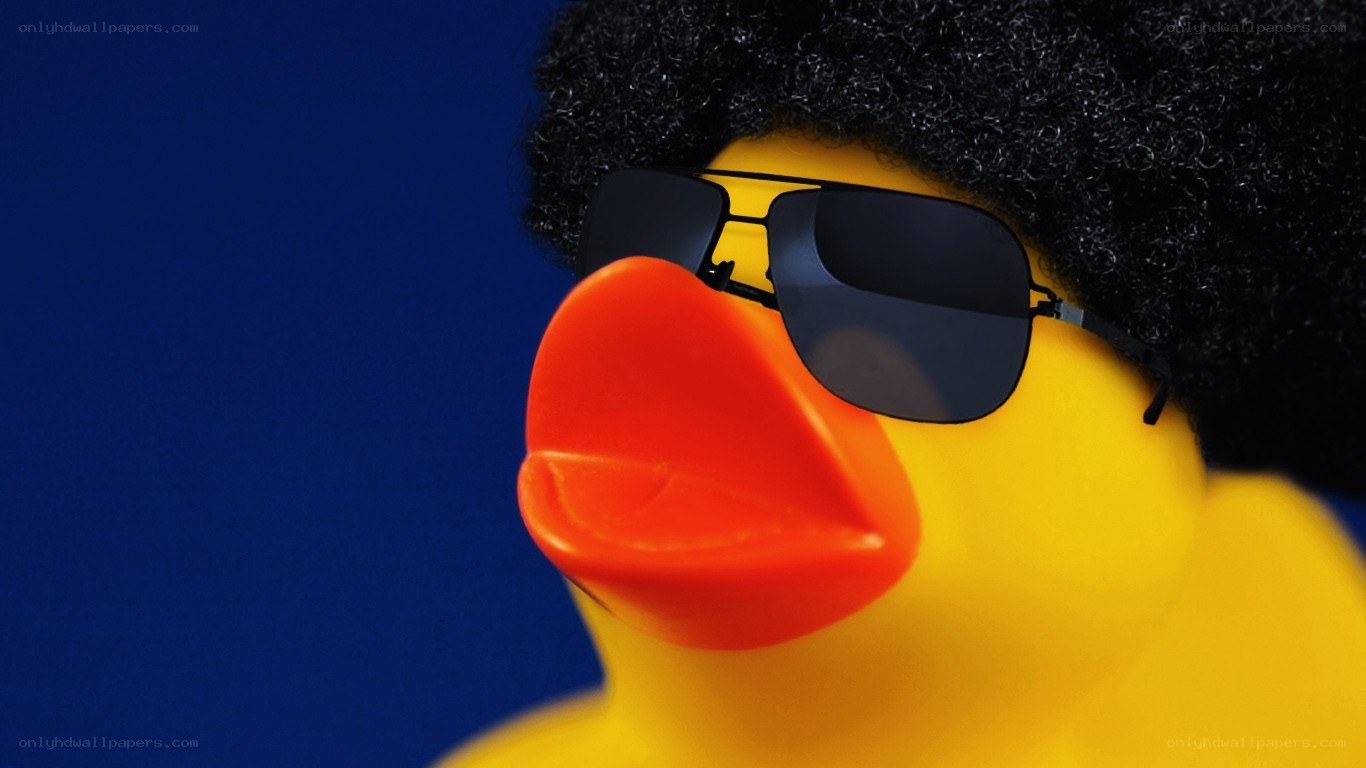 duck with sunglasses and afro