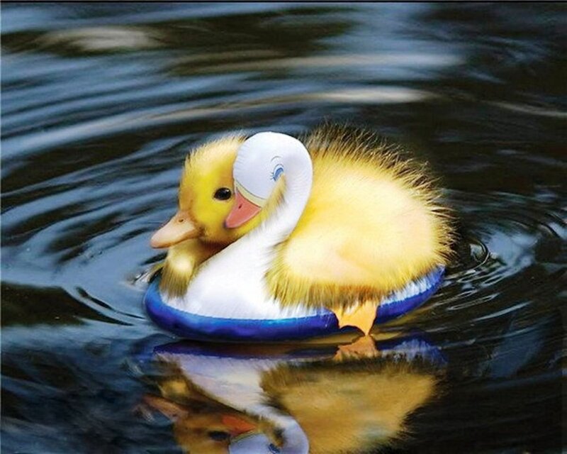 Duckling in Inflatable Ring — Yellow