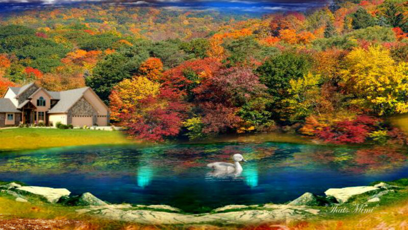Duckling in Pond — Blue, Serene