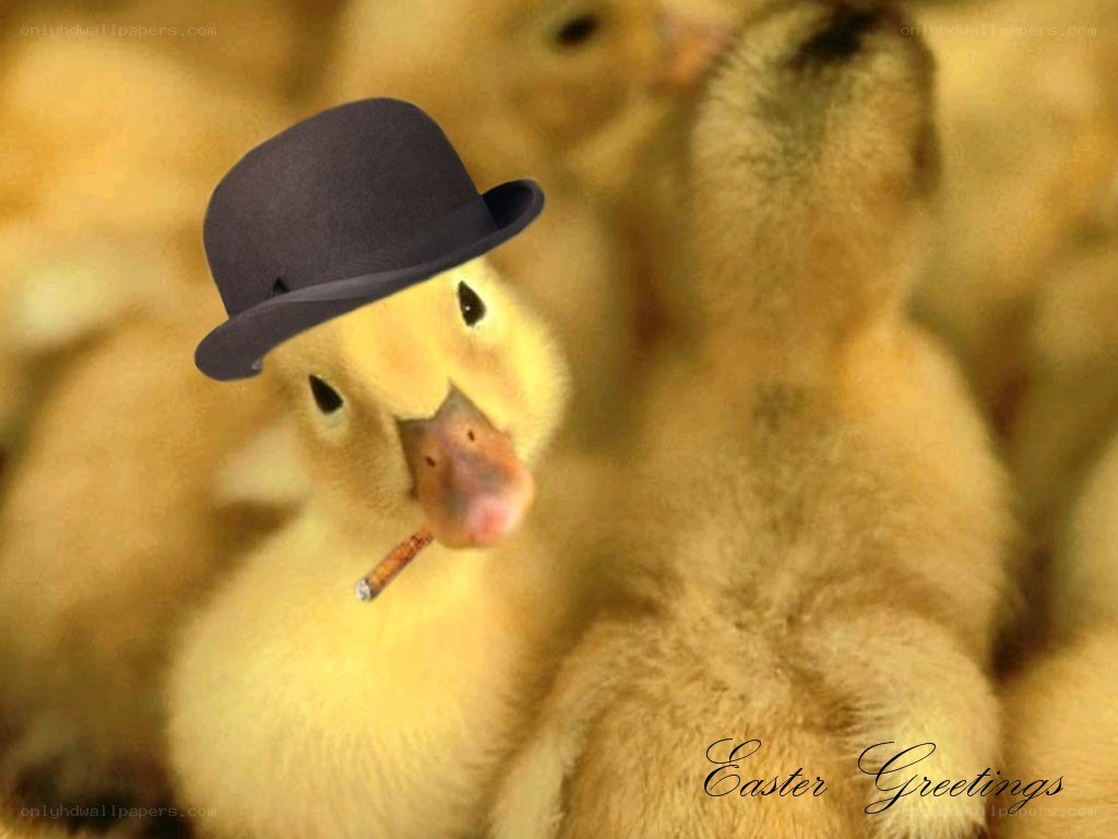 duckling with hat and cigarette