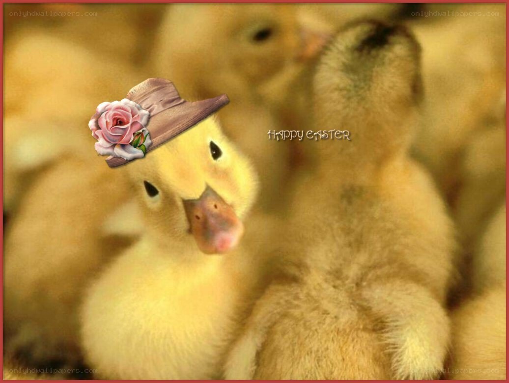 Duckling with hat and rose