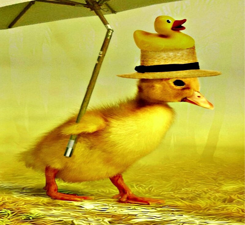 Duckling with Umbrella