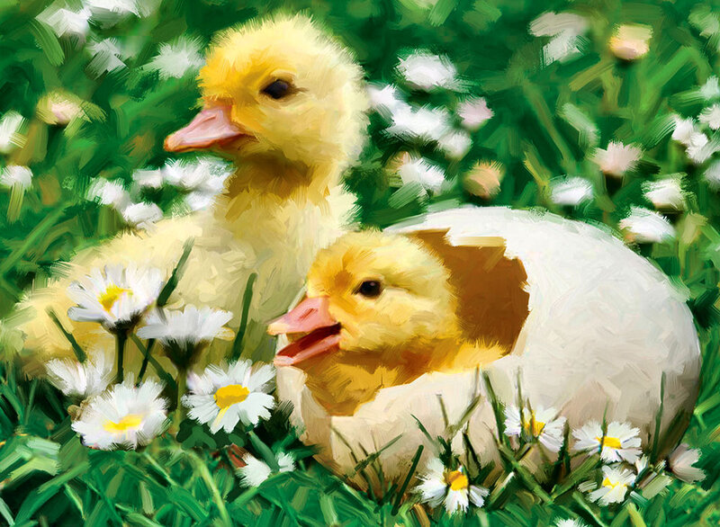 Ducklings in Grass — Yellow