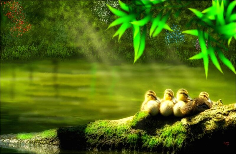 Ducklings on a Log — Green