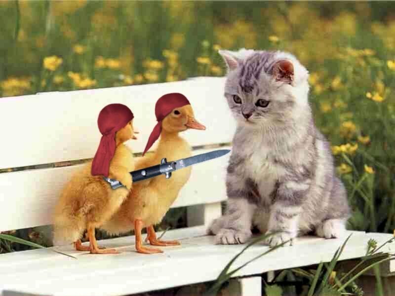 Ducklings with Knife