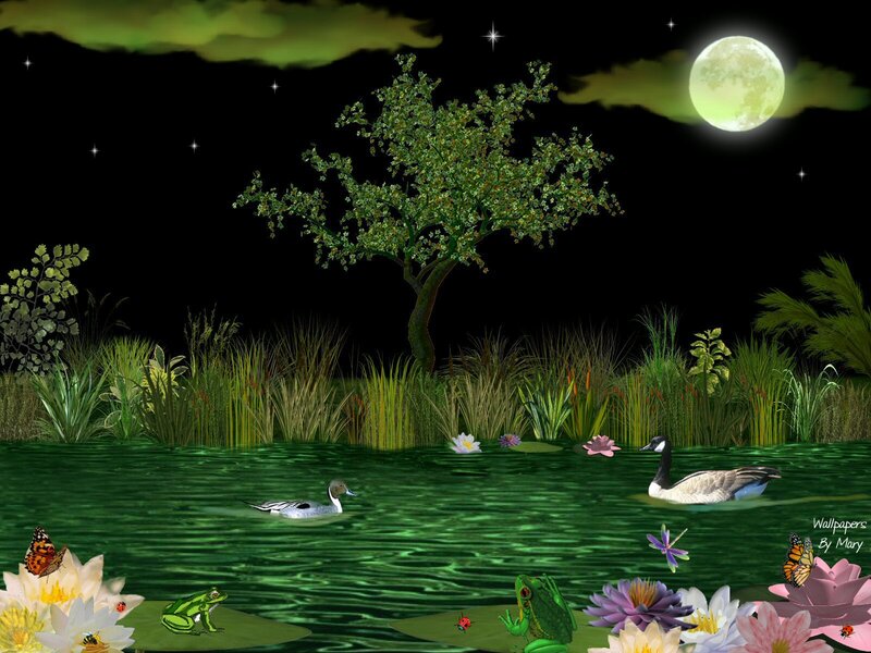 Ducks and Frogs in Pond