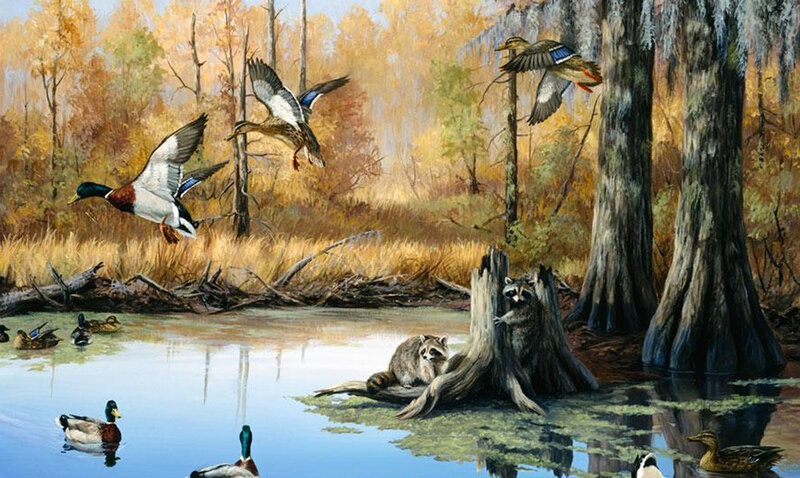Ducks and Raccoons in Swamp