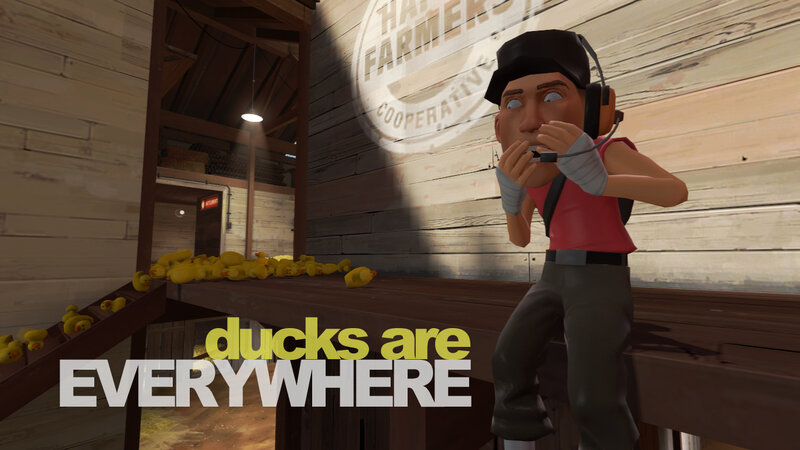 ducks are everywhere