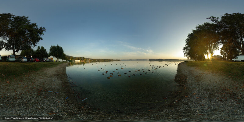 Ducks at a lakeside sunset