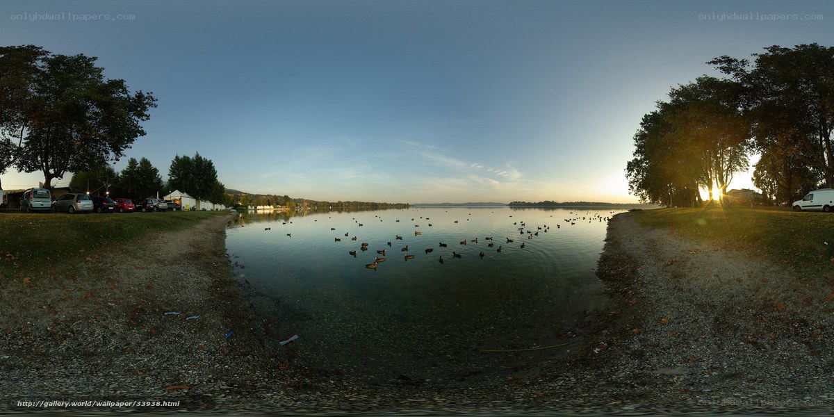 Ducks at a lakeside sunset