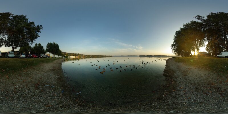 Ducks at sunset by the lake