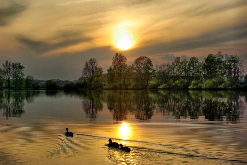 Ducks at sunset on a calm lake