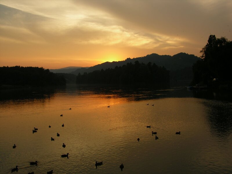 Ducks at sunset on a lake
