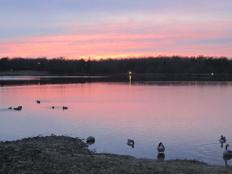Ducks at sunset on a lake