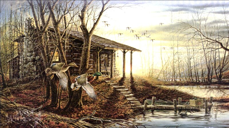 Ducks Flying Near Cabin — Brown, Serene