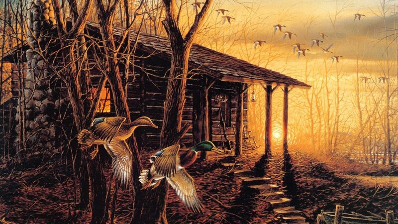 Ducks Flying Near Cabin — Orange