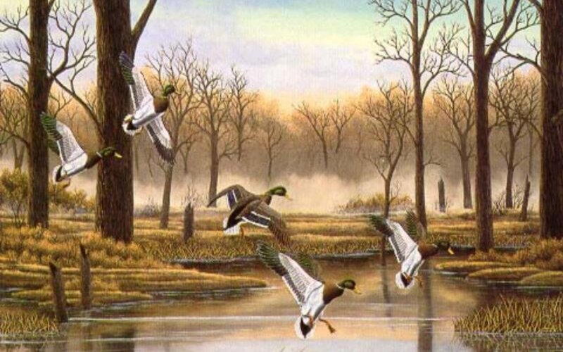 Ducks flying over a marsh