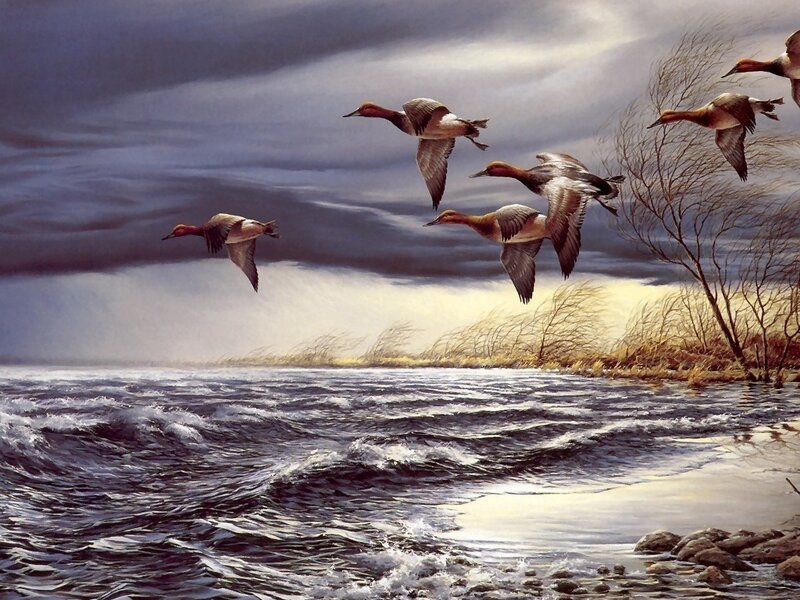 Ducks flying over a stormy lake
