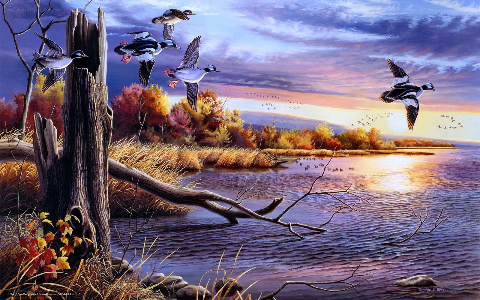 Ducks flying over autumn lake