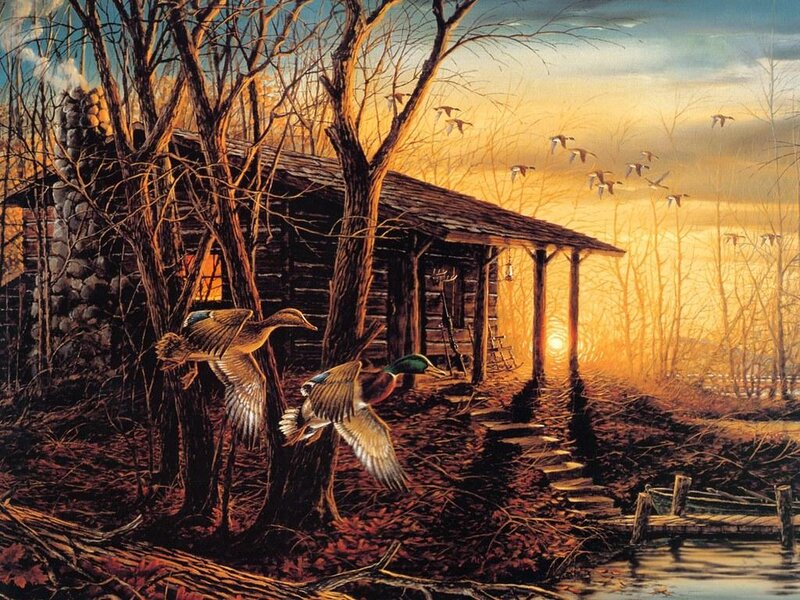 Ducks Flying over Cabin — Orange