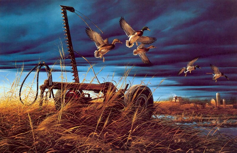 Ducks Flying over Farm Equipment