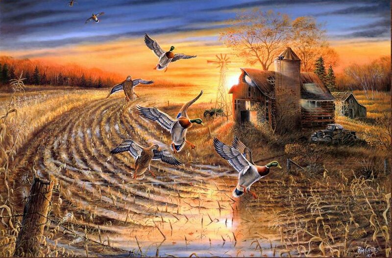 Ducks Flying over Farm — Orange, Dramatic