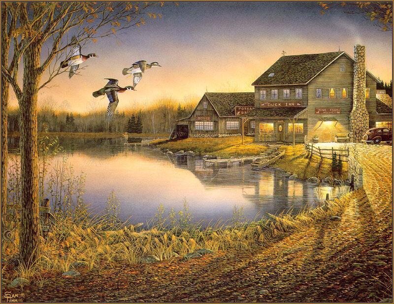 Ducks Flying over Inn
